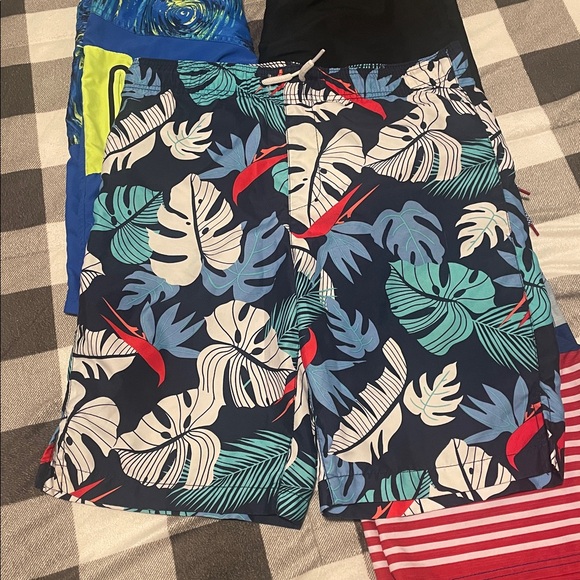 Swim Trunks - Picture 2 of 10